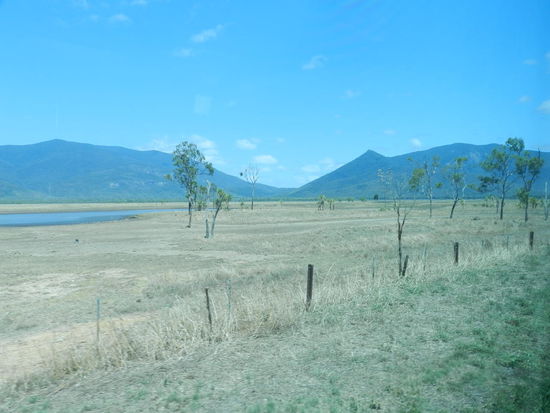 Karge, hügelige Landschaften, unterbrochen durch stundenlanges passieren von Eukalyptuswäldern, dann - kurz vor Cairns - mittelhohe Berge - das ist die Bahnfahrt von Brisbane bis Cairns