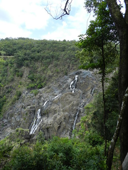 Die Barron River Falls im Regenwald