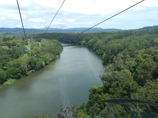 Aus der Seilbahn sieht man den Barron River sehr gut, vom Boden aus nur von einigen Lichtungen