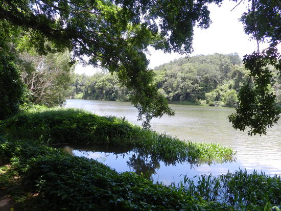 Barron River bei Kuranda