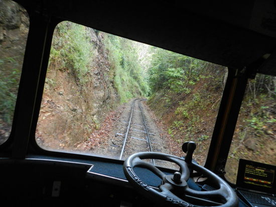 Blick aus dem Führerstand auf die eingleisige Strecke im Regenwald kurz hinter Cairns