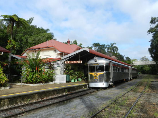 Savannahlander im Bahnhof Kuranda