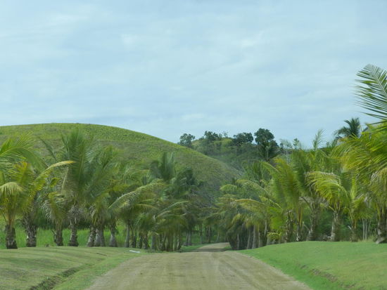 Etwas außerhalb der Hauptstadt ist die Landschaft dann schon wieder deutlich schöner