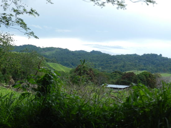 In der Hügellandschaft Guadalcanals