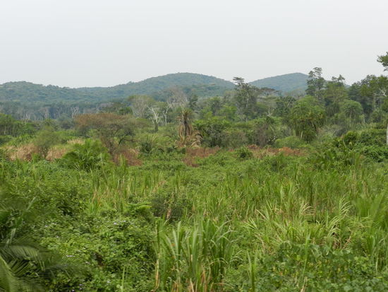 Winston Churchill nannte Uganda die Perle Afrikas - in diesem Landesteil kann man verstehen, warum. Wunderbare Landschaften folgen.
