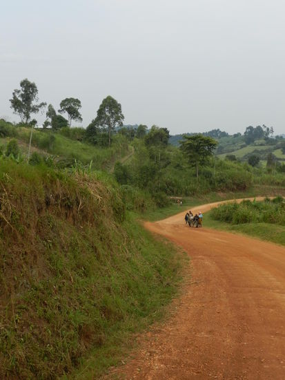 So sehen Nebenstrecken aus, wenn sie denn wenig befahren und nicht zu trocken sind.