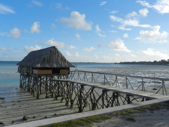 ... das sieht doch schon richtig idyllisch aus!