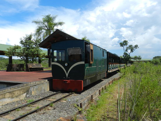 Diese gasbetriebene Bimmelbahn fährt durch den argentinischen Nationalpark rund um die Wasserfälle