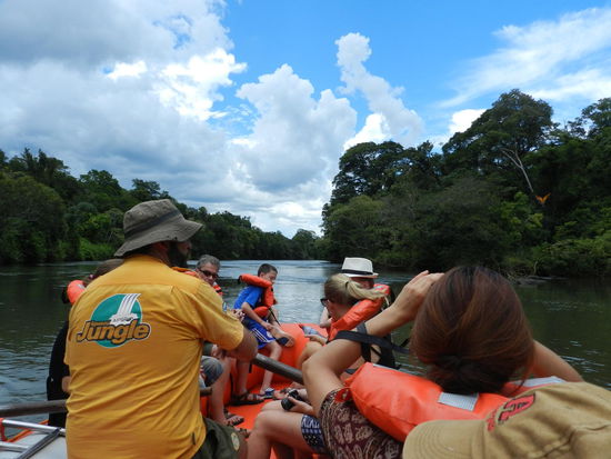 Auf dieser Fahrt konnte man sich die umgebende Natur konzentrierter anschauen