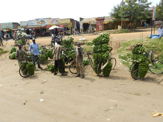 Bananenverkäufer in Kasese