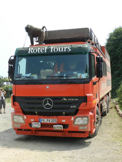 ... und ein neugieriger Pavian auf dem Rotel.