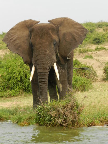 ... ist er nicht schön?