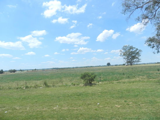 Durch unterschiedliche Landschaften ging es Richtung Colonia