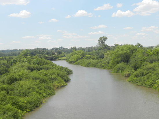 Dichter Bewuchs rund um die Flußufer