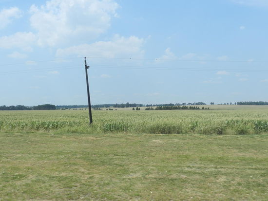 Hier sieht es aus wie in einer Steppenlandschaft