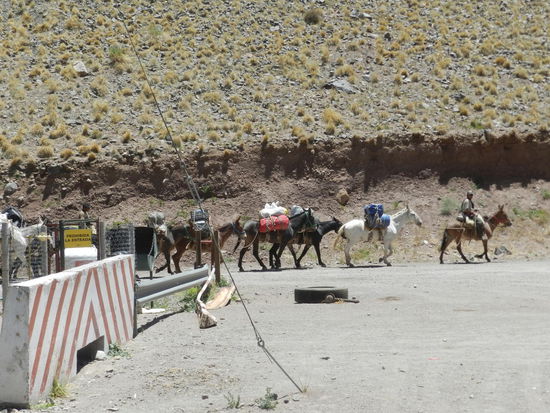 Indigene Bergbewohner ziehen mit ihren Lastenpferden an einem argentinischen Grenzvorposten vorbei