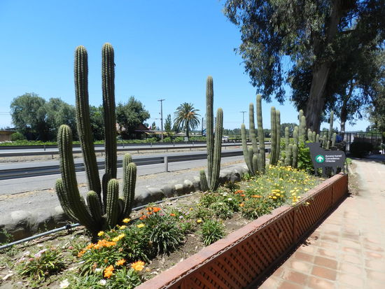 Unterwegs an einer Raststätte