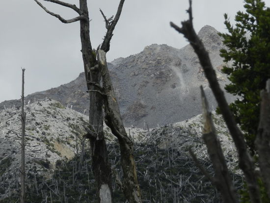 Aber immer wieder auch Brachen als Folge der Vuklantätigkeit