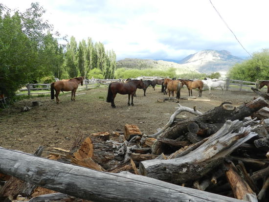 Unser Übernachtunsplatz in Puerto Ibanez