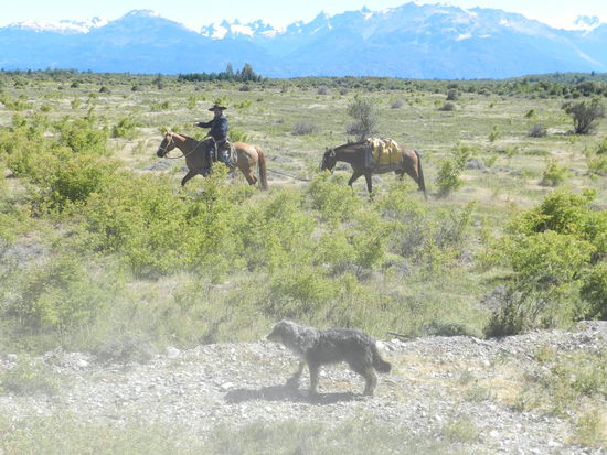 Einsamer Gaucho, seine Pferde und Hunde sind seine einzigen Begleiter