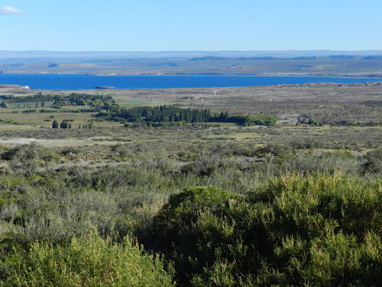 Das argtentinische patagonische Geröll beginnt