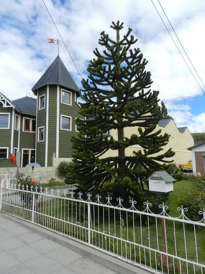 In der Innenstadt Calafates