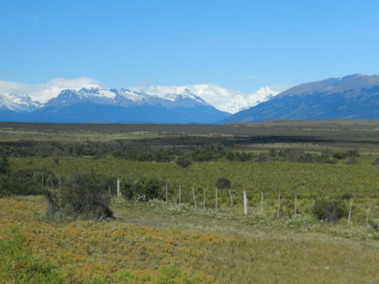 Einige Stunden dauerte die Fahrt von Calafate auf die Halbinsel