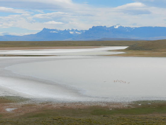 Auf dem Weg raus aus dem Gletschernationalpark in Richtung Chile