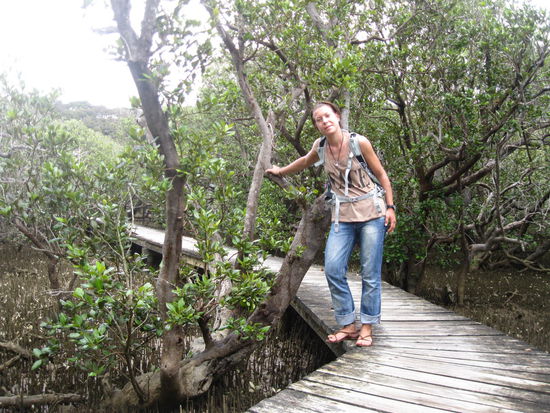 ich mitten im Mangrovenwald