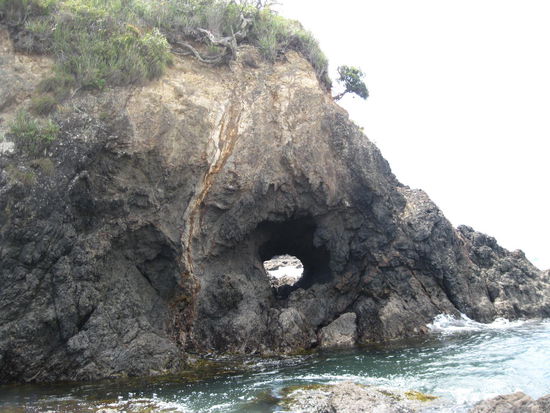 ...sieht ein wenig aus, wie ein Elefantengesicht