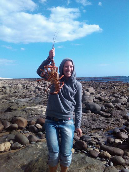 nein, die Krabbe habe ich nicht selber gefischt  aber sieht toll aus oder?