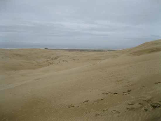die "Wueste" am Ende des 90-Miles-Beach