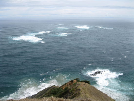 Cape Reinga Lighthouse View: Wo die Tasmansee und der Pazifik aufeinader treffen