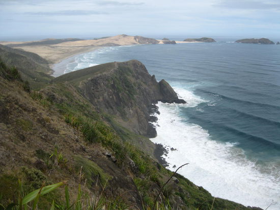 Cape Reinga Lighthouse View