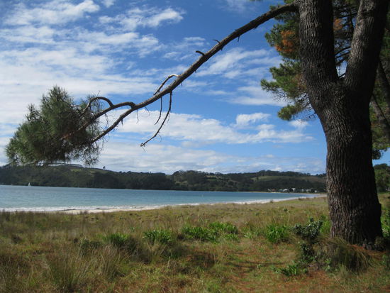 Cooks Beach