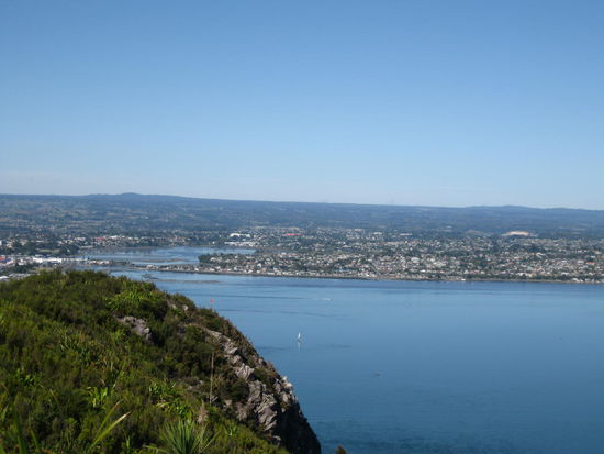 In der "Ferne" am anderen Ufer liegt Tauranga