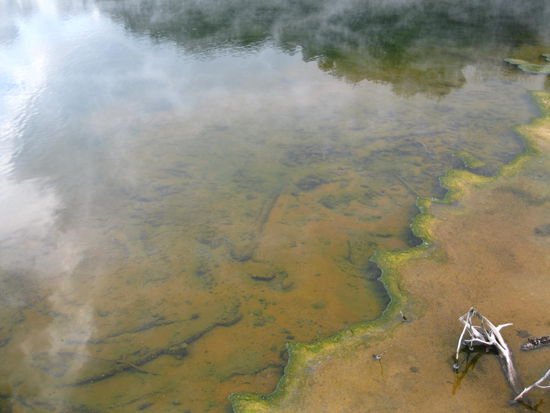 Kuriau Park - thermal activity