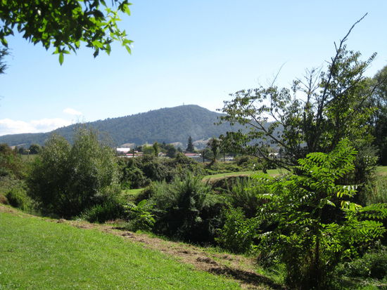 im Hintergrund: Mt Ngongotaha