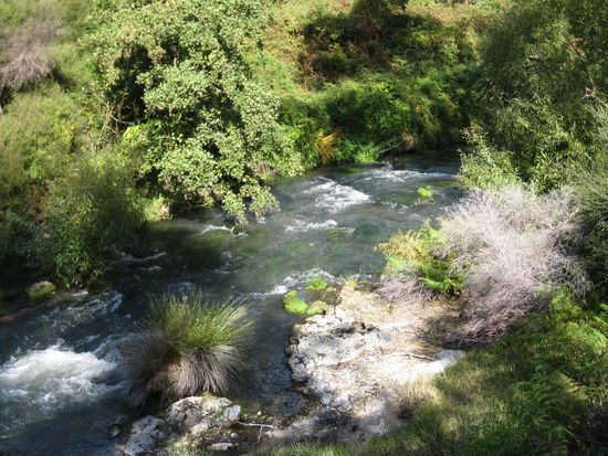 Puarenga Stream