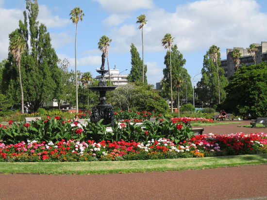 Albert Park