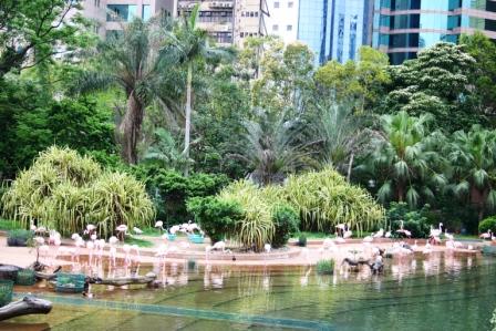 Kowloon Park