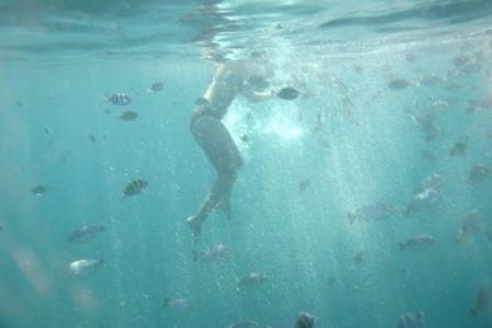 Schöne Unterwasserwelt, nicht die Beine die Fische meinte ich.
