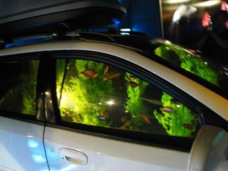 Ein Auto als Aquarium