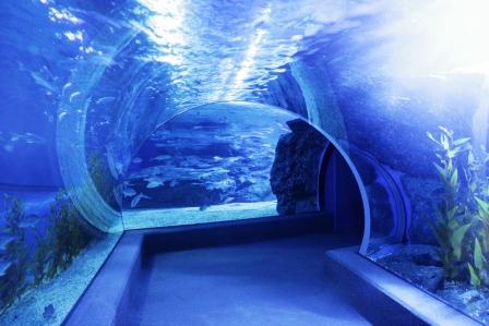 Der Glastunnel