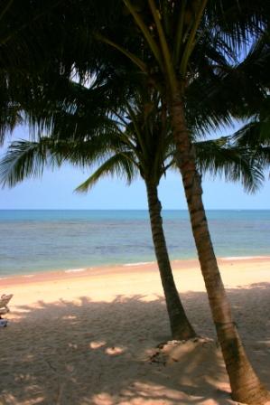 Die folgenden Bilder sind alle von unserem Strand
