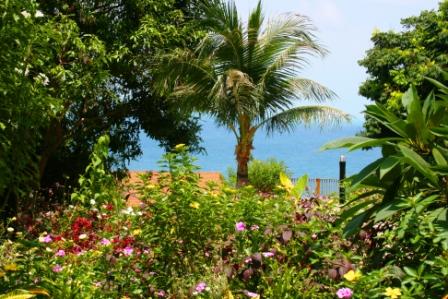 Der Vorgarten vom Blue Hill Resort