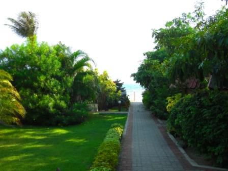 Mein Weg zum Strand