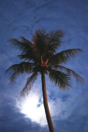 Diese Bild entstand mitten in der Nacht nachdem wir vom Hotelpersonal geweckt wurden und unsere wichtigsten Dinge zusammen packen sollten denn es hätte ein Erdbeben vor Sumatra gegeben und es wäre eine Tsunami unterwegs die dann Gott sei dank nie kam und so konnten wir nach zwei Aufregenden Stunden wieder ins Bett gehen