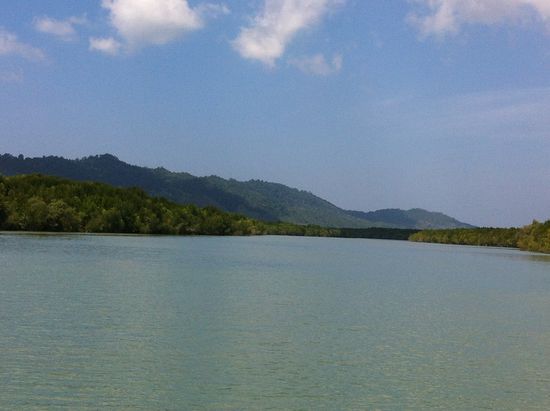 Mit dem Speedboot durch die Mangroven