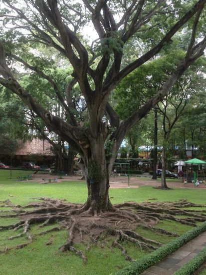Im Garten vom Wiedervereinigungspalast.